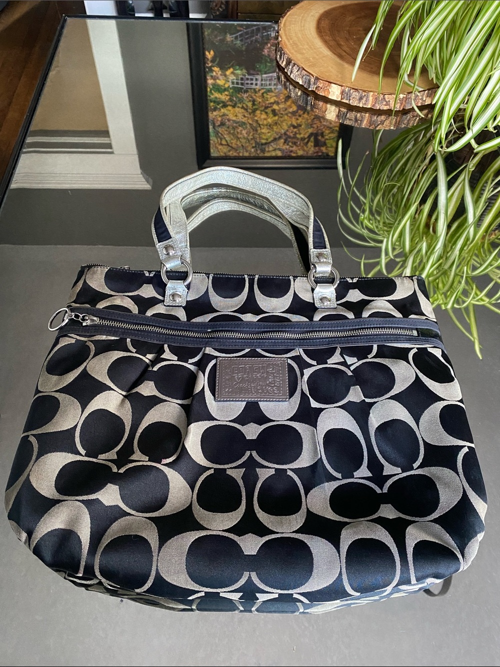 Coach Poppy Glam Signature Tote Bag Black/Silver/Tan